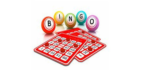 比目鱼12306抢票助手